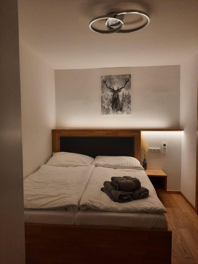 Mini-Apartment Адмонт Экстерьер фото